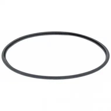 MOTOR LS BLX3D/4 230/50, 303161