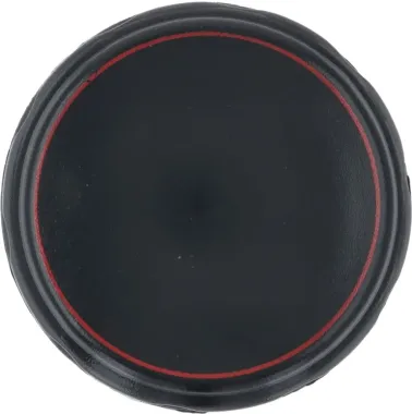 PILOT BURNER TARGET SIT 1 FLAME