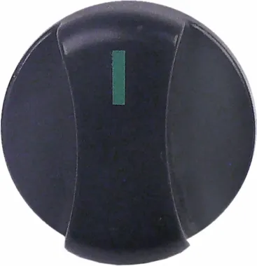 THERMOCOUPLE P.ASA GASCO 150 cm, G1040408