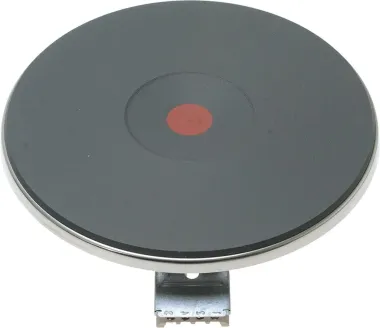 TEMPERATURE PROBE, 12047675